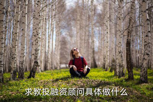 投融資顧問是做什么的，投資顧問的主要工作是什么用不用跑業(yè)務