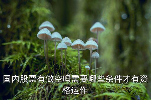 什么股票才可以做空，同花順里面有沒有可以做空的股票