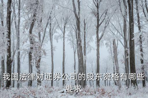 金融公司應引入什么樣的股東，我國法律對證券公司的股東資格有哪些要求