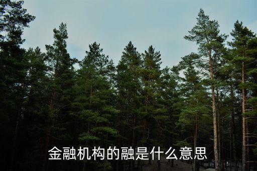 金融機構的融是什么意思，融資中的融是什么意思