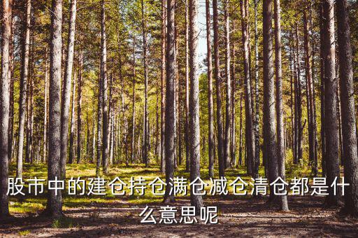 為什么減倉，減倉是什么意思什么是減倉
