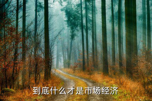 什么是市場經(jīng)濟，什么是市場經(jīng)濟
