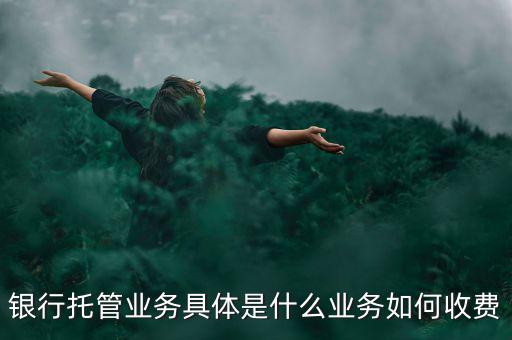 什么是票據(jù)托管，銀行托管業(yè)務(wù)具體是什么業(yè)務(wù)如何收費(fèi)