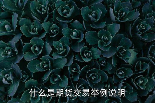 期權(quán)期貨是什么意思，期權(quán)與期貨是什么意思