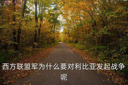 歐債危機(jī)下的法國(guó)為什么要發(fā)動(dòng)利比亞戰(zhàn)爭(zhēng)，西方聯(lián)盟軍為什么要對(duì)利比亞發(fā)起戰(zhàn)爭(zhēng)呢