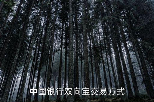 中國銀行雙向?qū)毷鞘裁矗袊y行雙向?qū)殬I(yè)務(wù)詳細介紹