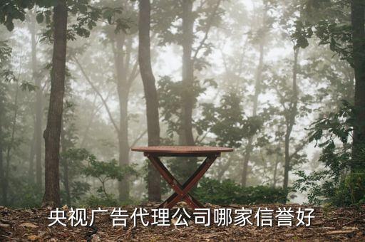 什么企業(yè)被央視廣告拖垮的，央視廣告代理公司哪家信譽(yù)好