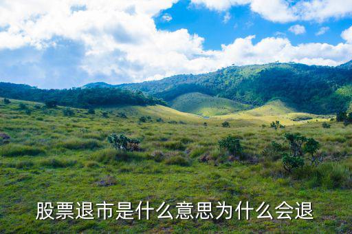 上市退出是什么意思，退市是什么意思