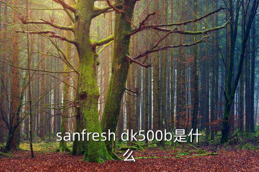 金鷹500b是什么，EOS 500B 是什么Rin的樂器