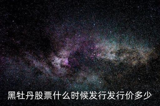 黑牡丹股什么時間上市，股票黑牡丹的上市公司是做什么的