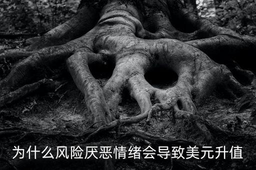 sdr和美元指數(shù)構(gòu)成有什么關(guān)系，為什么A股和美元指數(shù)有關(guān)系