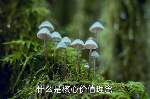 什么是核心價值理念，什么是核心價值理念