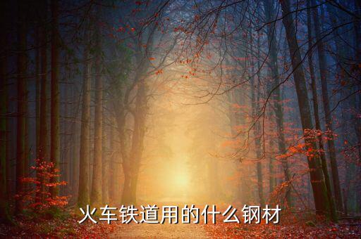 動(dòng)車制造用的是什么鋼，火車鐵道用的什么鋼材