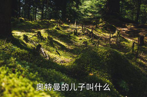 奧特佳老總兒子叫什么，奧特曼的兒子叫什么