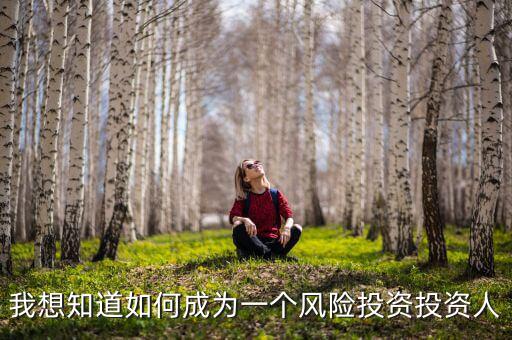 我想知道如何成為一個風(fēng)險(xiǎn)投資投資人