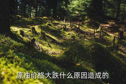 原油為什么會(huì)跌，原油價(jià)格大跌什么原因造成的