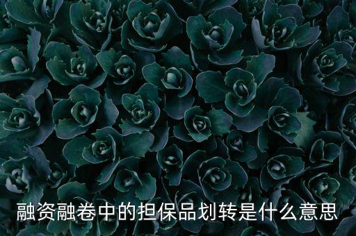 什么是劃轉(zhuǎn)，劃撥轉(zhuǎn)賬是什么意思