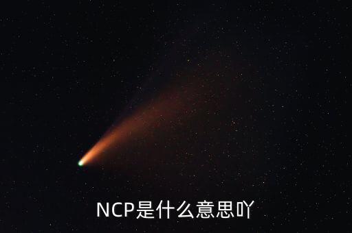 可比企業(yè)ncp是什么簡(jiǎn)稱，NCP是什么意思吖