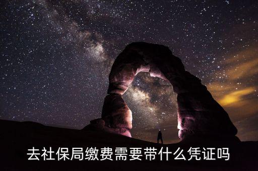 去社保局申報(bào)年度繳費(fèi)工資需要帶什么證件，去社保局繳費(fèi)需要帶什么憑證嗎