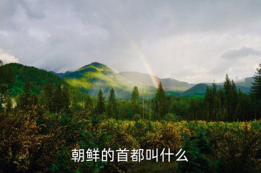 朝鮮總統(tǒng)府叫什么，朝鮮元首有專門的住所嗎有的話在哪