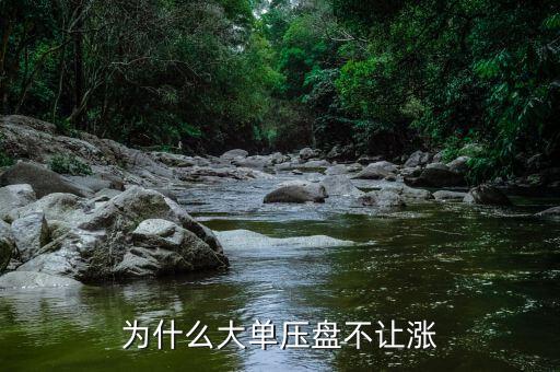 大單壓盤不讓漲是什么意思，為什么在巨單壓盤為什么不讓漲