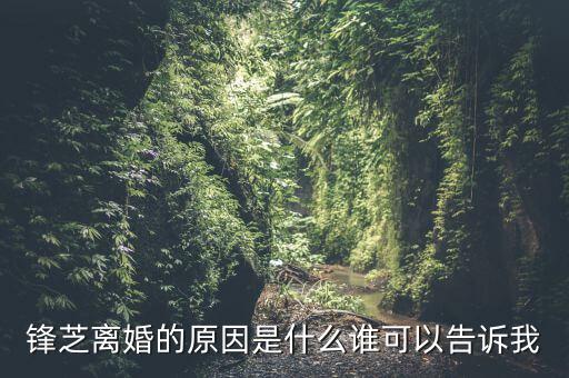胡芝容為什么離婚，鋒芝戀離婚原因是為什么