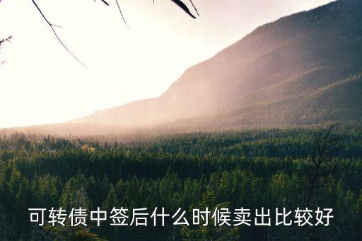 可轉(zhuǎn)債一般什么時候賣出，中國銀行可轉(zhuǎn)債什么時候能賣出
