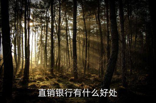 浦發(fā)直銷銀行能干什么，銀行直銷部是做什么的