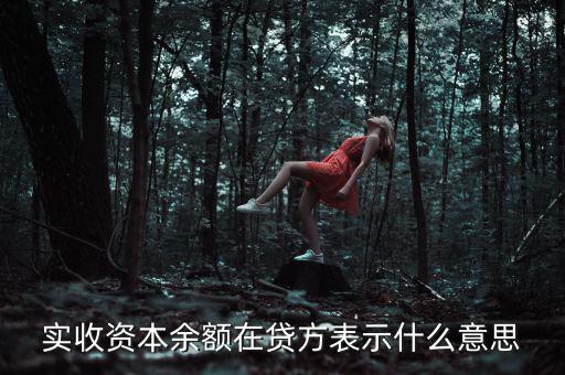 什么是資本余額，什么是資本性資金誰知道請告訴我謝謝