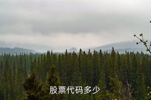 b股代碼以什么開頭，a股和b股代碼怎樣區(qū)分