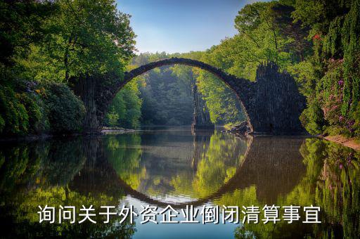 沈陽投資公司跑路市政府什么解決，詢問關于外資企業(yè)倒閉清算事宜