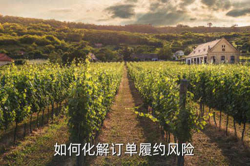 什么訂單執(zhí)行風(fēng)險(xiǎn)，淘寶訂單險(xiǎn)的問題