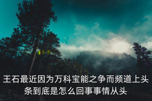 王石現(xiàn)在忙什么，王石現(xiàn)在在干什么