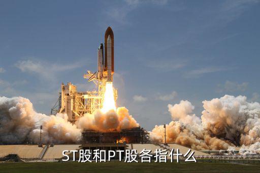 什么叫pt股，股票中PT股代表什么意思