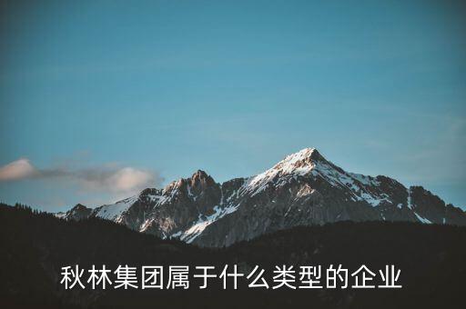 秋林集團是什么板塊，秋林集團屬于什么類型的企業(yè)