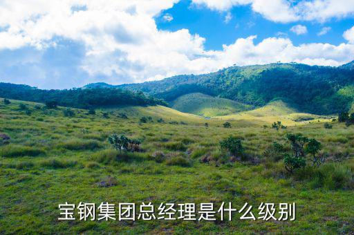 寶鋼研究院院長(zhǎng)是什么級(jí)別，上海寶鋼集團(tuán)是行政什么級(jí)單位