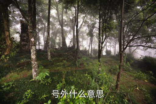 基金號(hào)外是什么意思，號(hào)外是什么意思