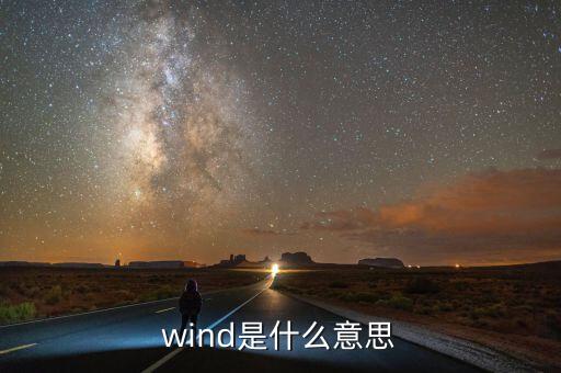 wind數(shù)據(jù)是什么，wind是什么意思