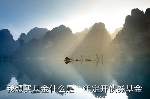 定開債券是什么意思，我想買基金什么是一年定開債券基金