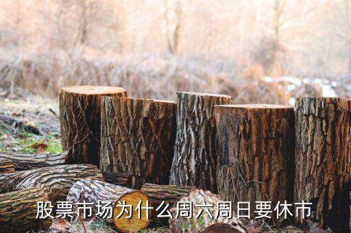 星期六為什么停牌，股票市場為什么周六周日要休市