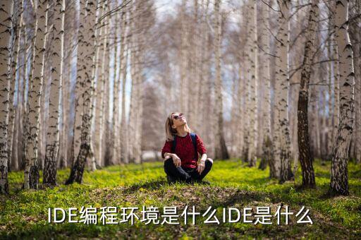 tltro是什么，虛擬內(nèi)存是什么玩意