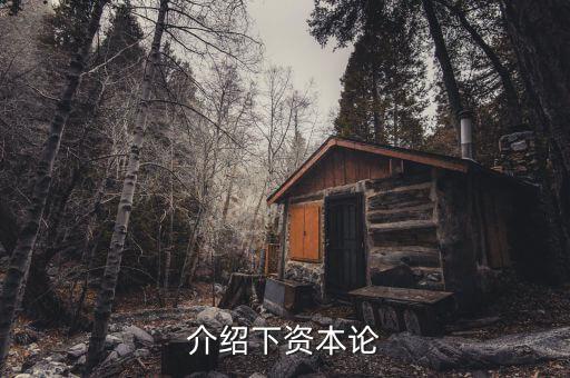 資本論是什么發(fā)表的，資本論 是馬克思寫(xiě)的不