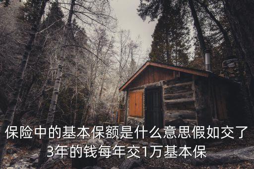 基本保額是什么意思，基本保險金額是什么意思