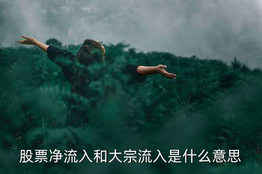 股票大宗流入是什么意思，股票凈流入額大宗流入什么意思