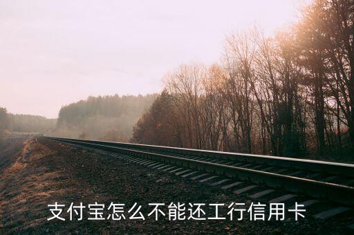 支付寶為什么不能還信用卡，支付寶怎么不能還工行信用卡