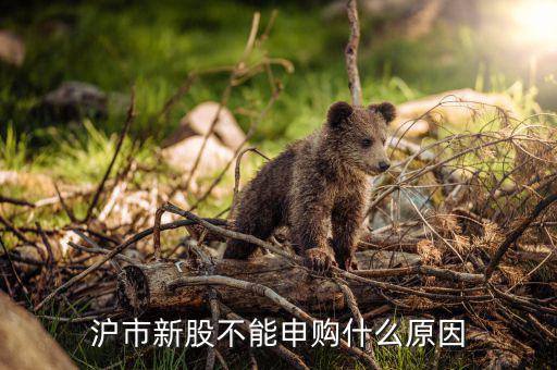為什么滬市不能申購，我有滬股股票為什么不能申購