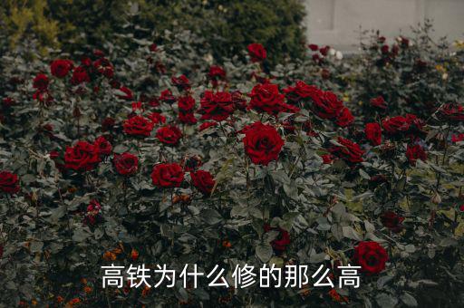 為什么要在國外修高鐵，中國建這么多高鐵為了什么