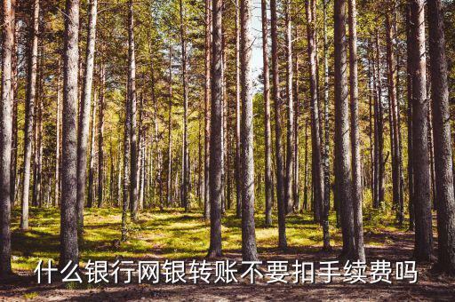什么銀行網(wǎng)銀轉(zhuǎn)賬不用手續(xù)費，什么銀行網(wǎng)銀轉(zhuǎn)賬不要扣手續(xù)費嗎