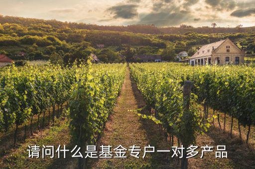 一對(duì)多專戶是什么意思，請(qǐng)問(wèn)什么是基金專戶一對(duì)多產(chǎn)品