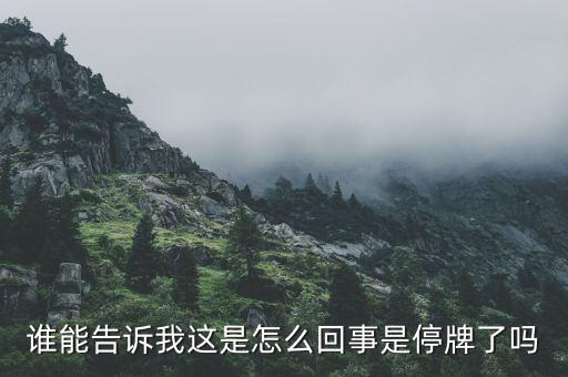 江南紅箭為什么停牌，江南紅箭為什么在軍工板塊里面沒有